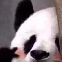 秦垚玲's avatar
